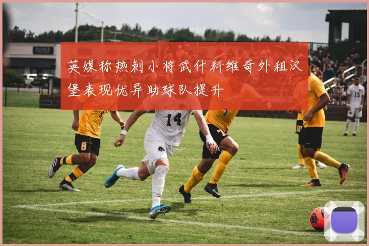 英媒称热刺小将武什科维奇外租汉堡表现优异助球队提升