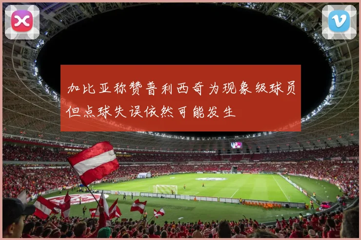 加比亚称赞普利西奇为现象级球员但点球失误依然可能发生