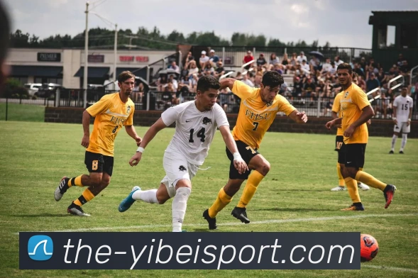 数据防护可视化